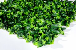 6 11 mz188024c50x50 1 scaled