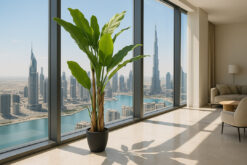 BANANA TREE NP6327_180_22 ΥΨΟΣ 180cm 11 6 17 np6327 180 22 4