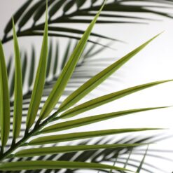 Alternative view of PALM TREE  NP160_210_UV  ΥΨΟΣ 210cm