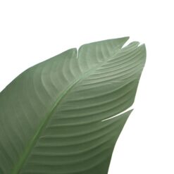 Alternative view of BANANA TREE NP1411_160  ΥΨΟΣ 160cm
