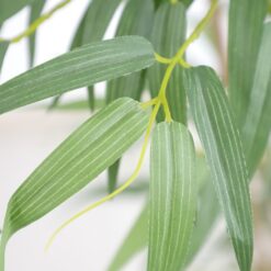 Alternative view of BAMBOO  NP5801_180_22_UV  ΥΨΟΣ 180cm
