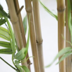 mg 8520 copy